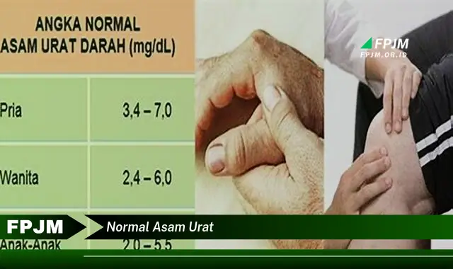 normal asam urat