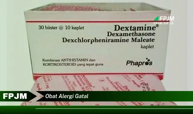 obat alergi gatal