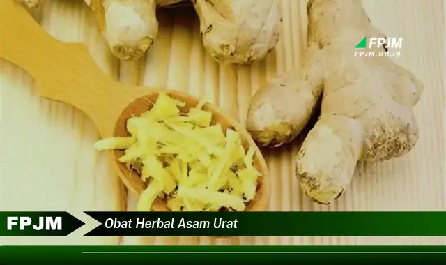 obat herbal asam urat