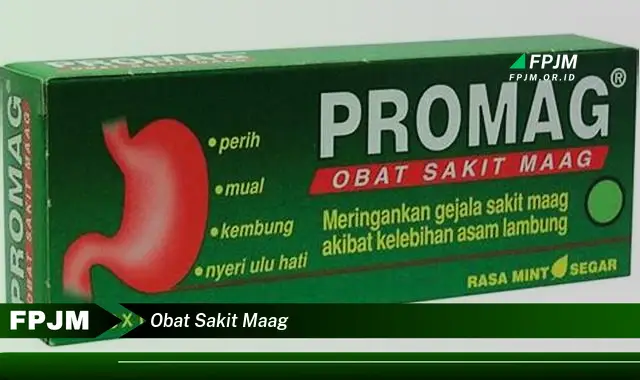 obat sakit maag
