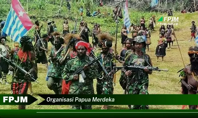 organisasi papua merdeka