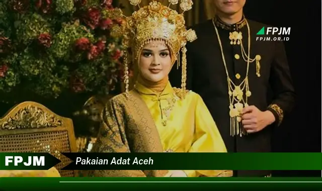 pakaian adat aceh