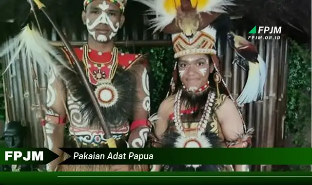 pakaian adat papua