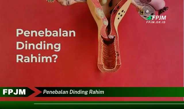 penebalan dinding rahim