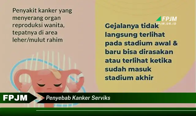 penyebab kanker serviks