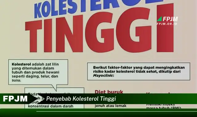 penyebab kolesterol tinggi