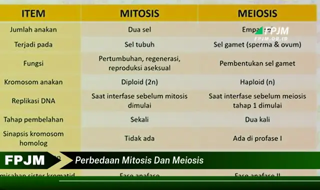 perbedaan mitosis dan meiosis