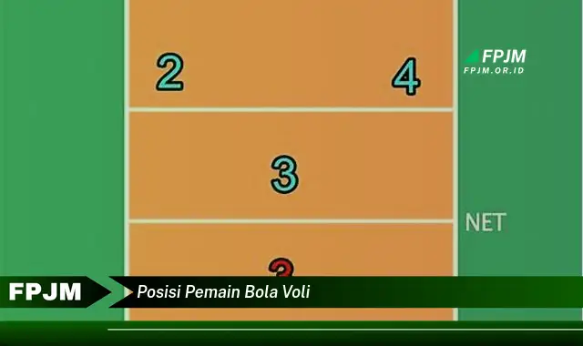 posisi pemain bola voli