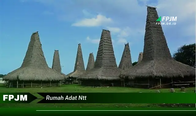 rumah adat ntt