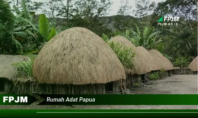 rumah adat papua