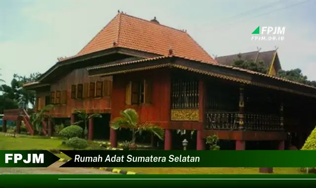 rumah adat sumatera selatan