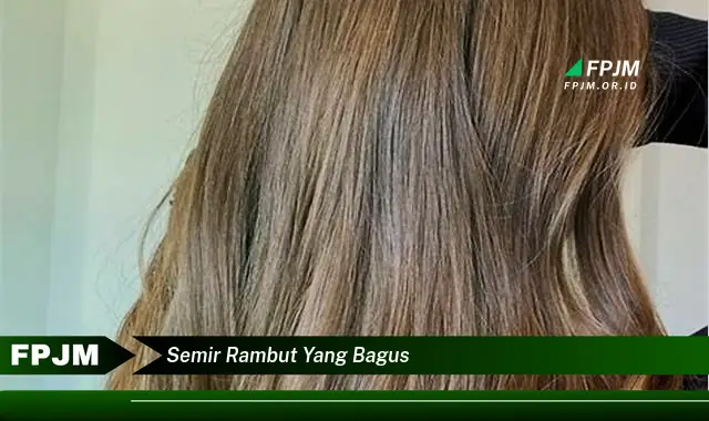 semir rambut yang bagus