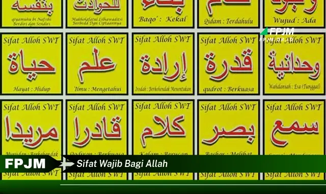 sifat wajib bagi allah