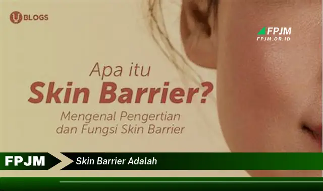 skin barrier adalah