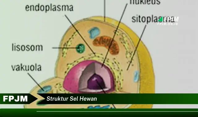 struktur sel hewan