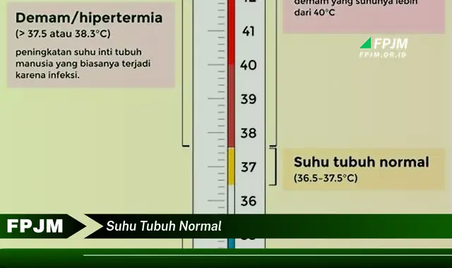 suhu tubuh normal