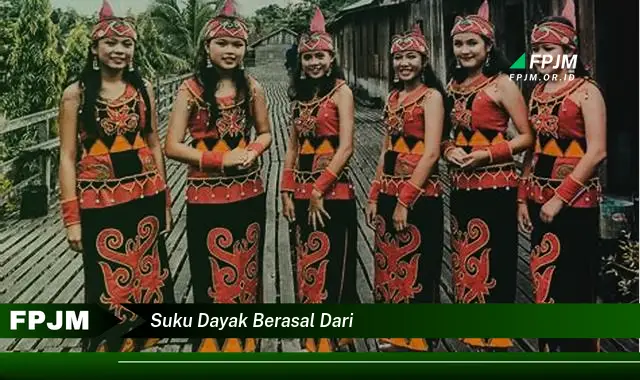 suku dayak berasal dari