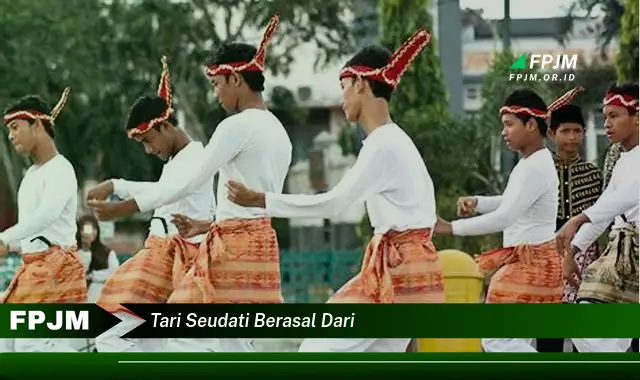 tari seudati berasal dari