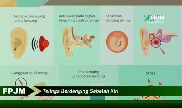 telinga berdenging sebelah kiri