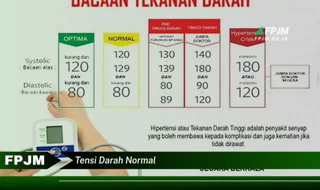 tensi darah normal