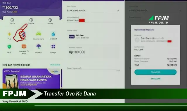 Ketahui 7 Rahasia Transfer OVO ke DANA yang Bikin Kamu Penasaran