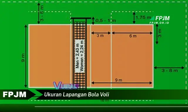 ukuran lapangan bola voli