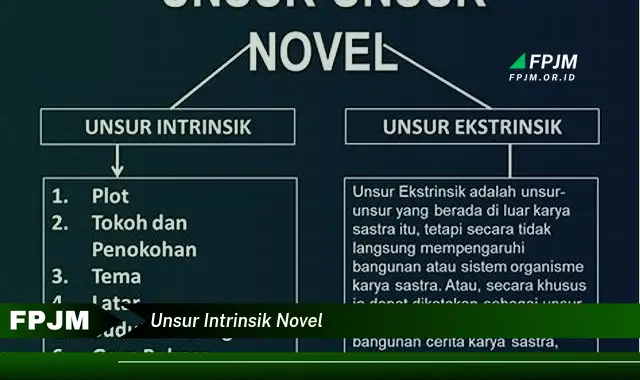 unsur intrinsik novel