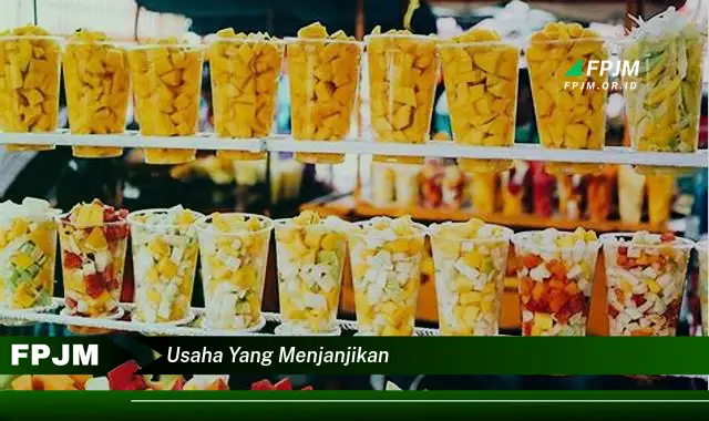 usaha yang menjanjikan