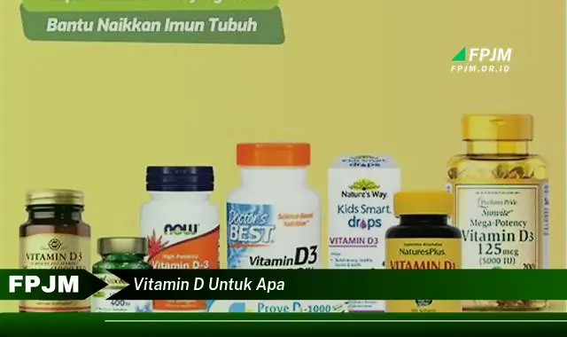 vitamin d untuk apa