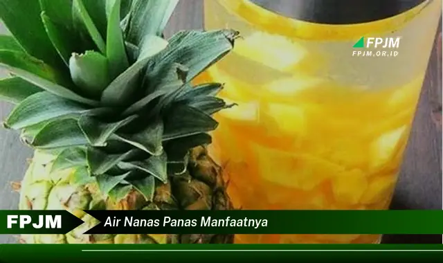 air nanas panas manfaatnya air nanas panas manfaatnya