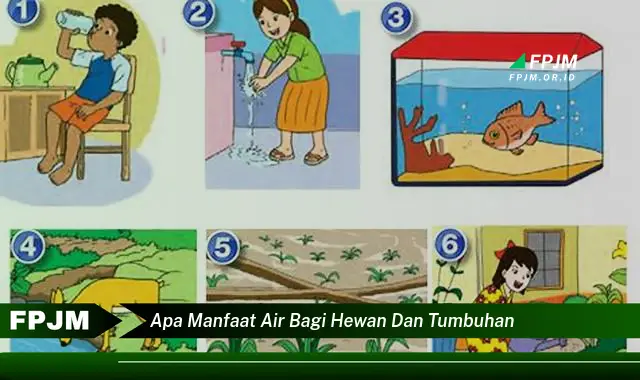 apa manfaat air bagi hewan dan tumbuhan apa manfaat air bagi hewan dan tumbuhan