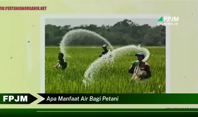 apa manfaat air bagi petani apa manfaat air bagi petani