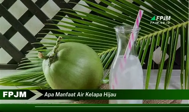 apa manfaat air kelapa hijau