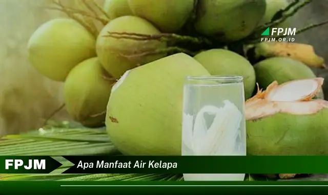 apa manfaat air kelapa