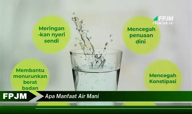 apa manfaat air mani apa manfaat air mani