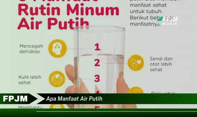 apa manfaat air putih