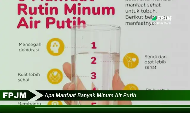 apa manfaat banyak minum air putih