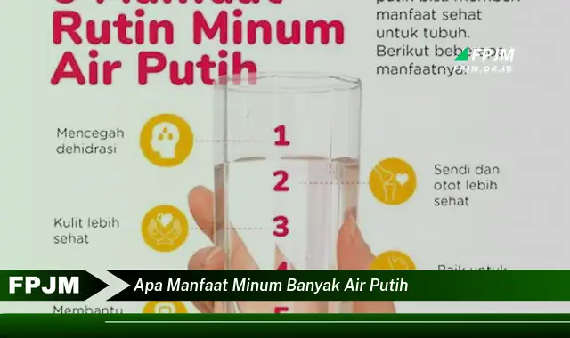 apa manfaat minum banyak air putih