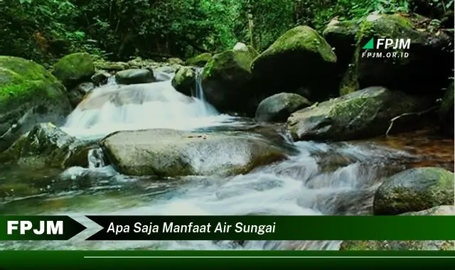 apa saja manfaat air sungai