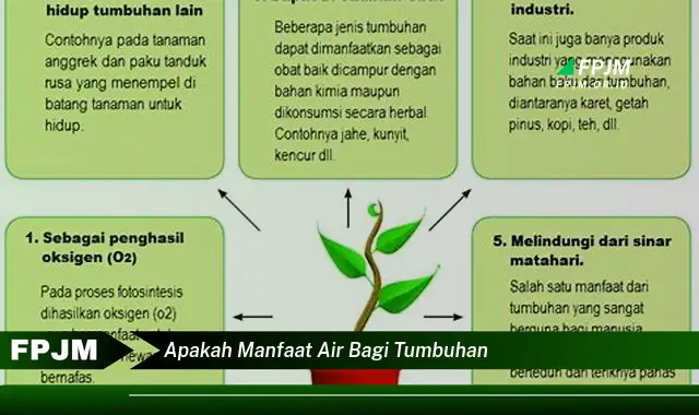 apakah manfaat air bagi tumbuhan apakah manfaat air bagi tumbuhan