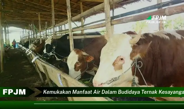 kemukakan manfaat air dalam budidaya ternak kesayangan