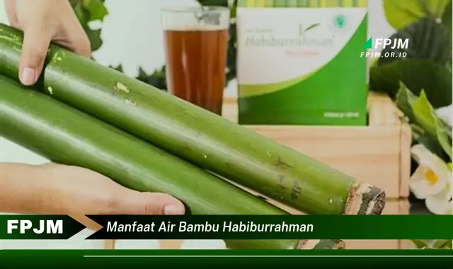 manfaat air bambu habiburrahman manfaat air bambu habiburrahman