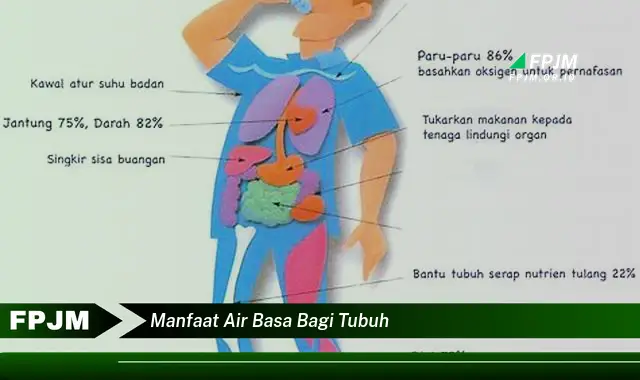 manfaat air basa bagi tubuh