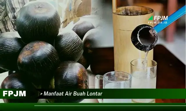 manfaat air buah lontar