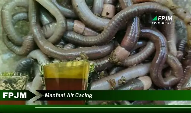 manfaat air cacing manfaat air cacing