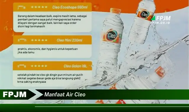 manfaat air cleo manfaat air cleo