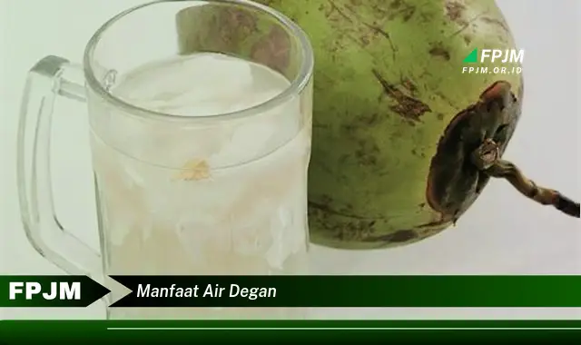 manfaat air degan manfaat air degan