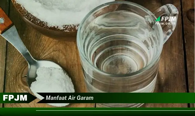 manfaat air garam