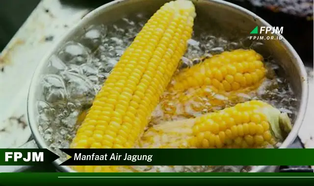 manfaat air jagung