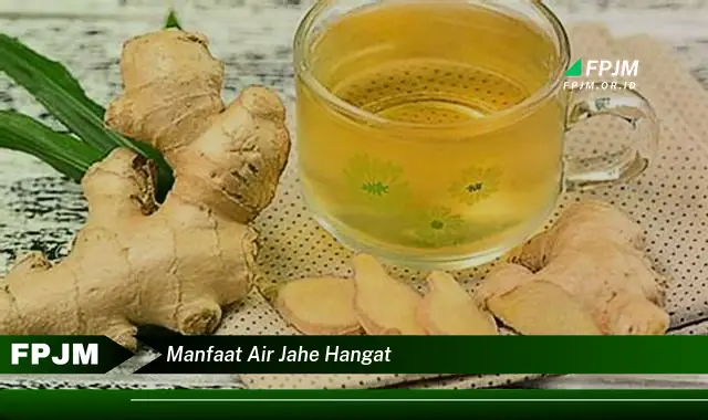 manfaat air jahe hangat